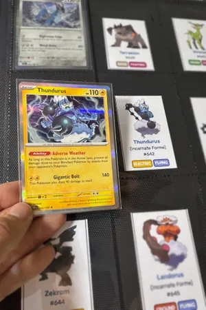ポケモン図鑑チャレンジ |ポケモン TCG カードでポケモン図鑑を完成